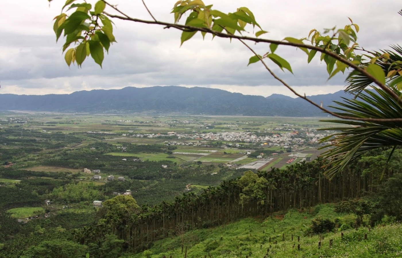 花蓮鳳林山景與自然環境